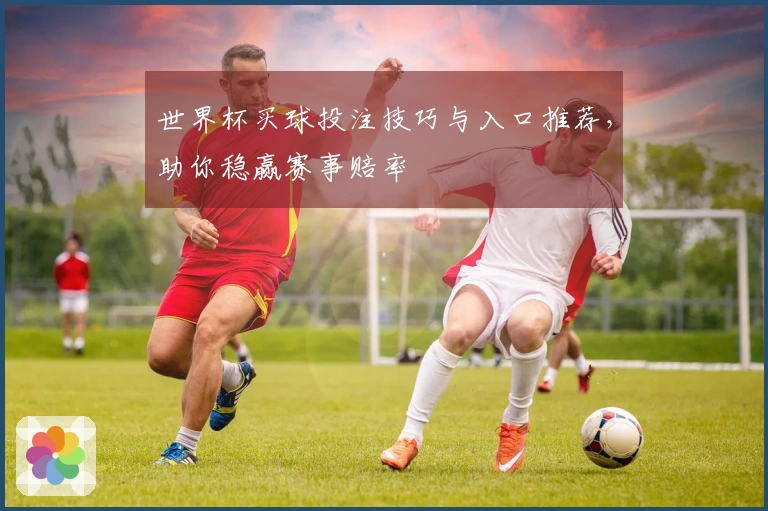 世界杯买球投注技巧与入口推荐，助你稳赢赛事赔率