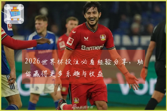 2026世界杯投注必看经验分享，助你赢得更多乐趣与收益