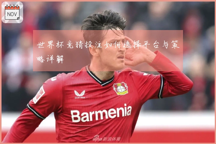 世界杯竞猜投注如何选择平台与策略详解
